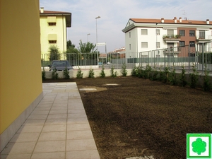 terreno seminato con terriccio tappeti erbosi e starter